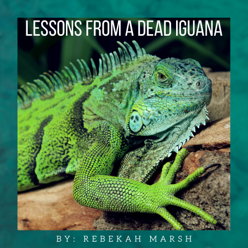 Lessons from a Dead Iguana! - Lean Into Jesus