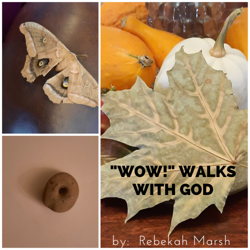 “Wow!” Walks with God