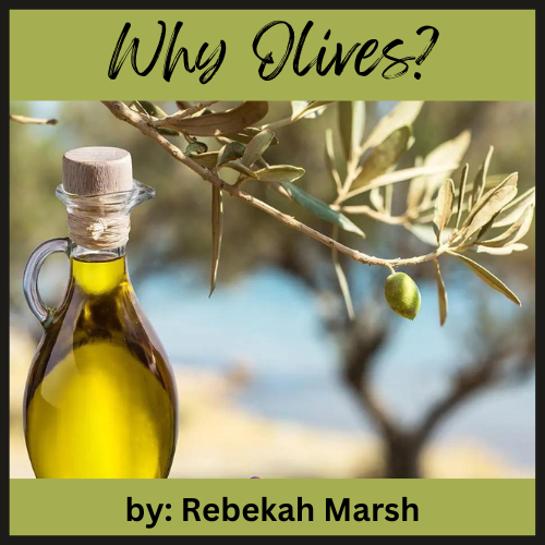 Why Olives?