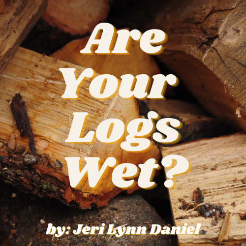 Are Your Logs Wet?