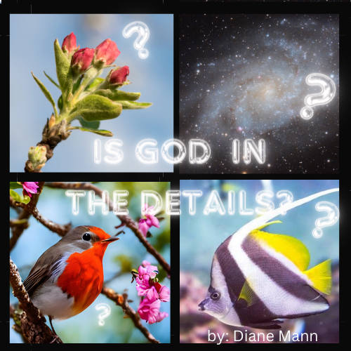 Is God in the Details?
