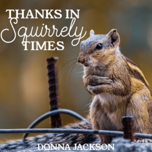 Thanks in Squirrely Times