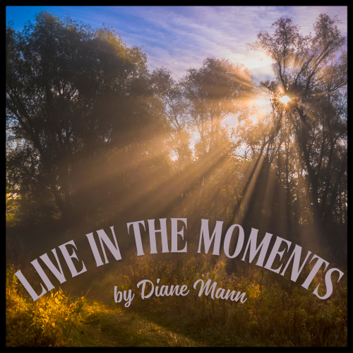 Live in the Moments