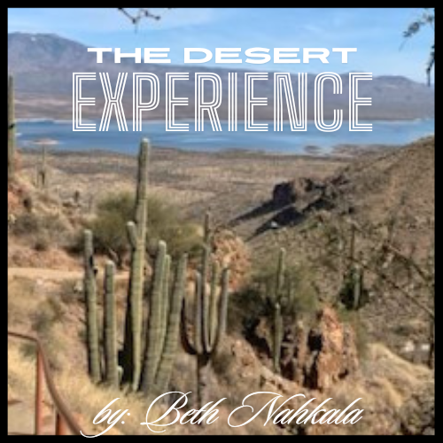 The Desert Experience