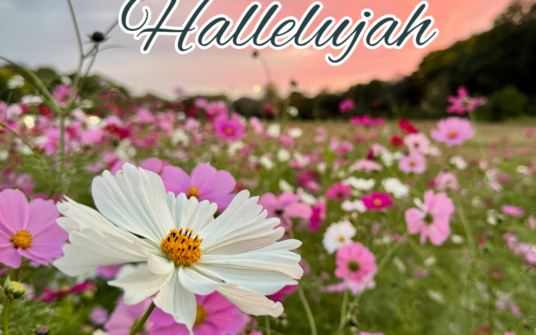 Your Hard-Fought Hallelujah