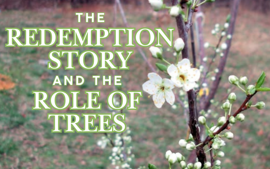 The Redemption Story and the Role of Trees