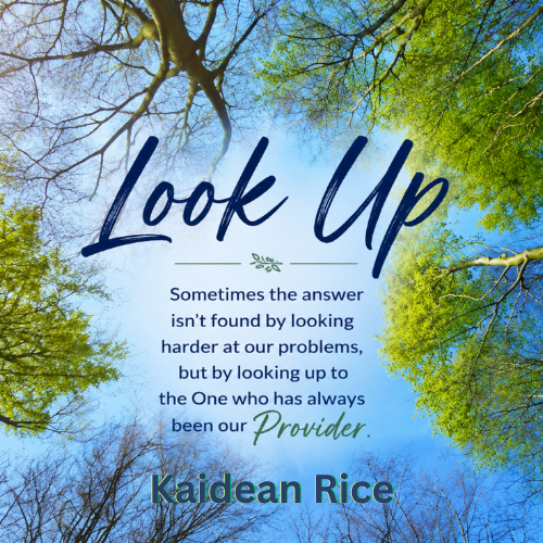 Look Up